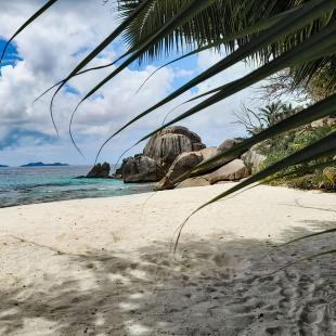 Soeur coco felicite island