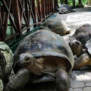 Ste Anne Marine Park